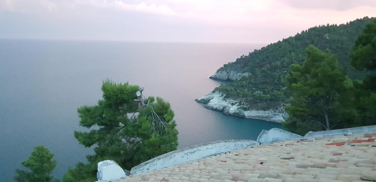 Villa Cala Della Pergola ヴィエステ エクステリア 写真